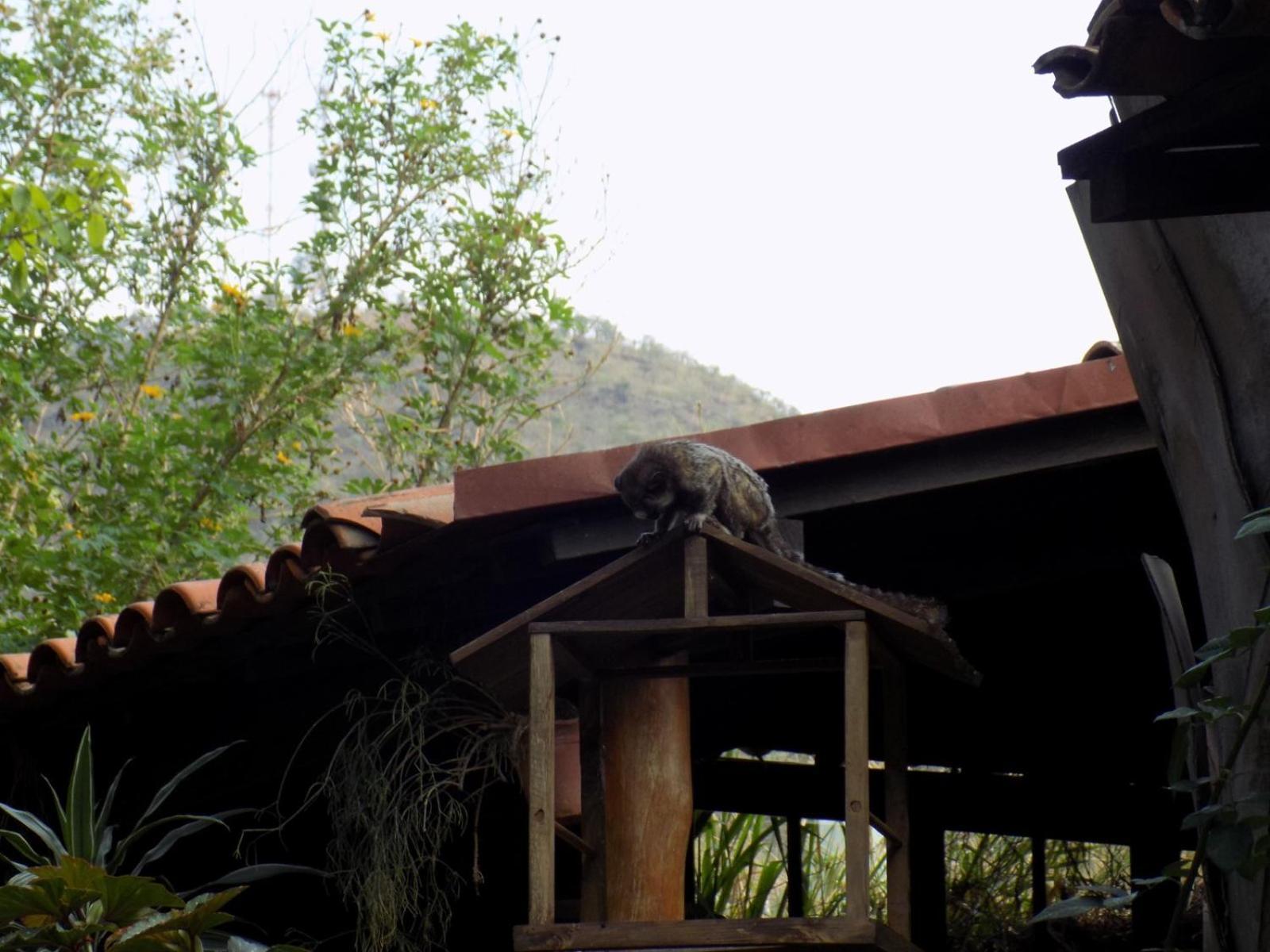 Pousada Fenix Pirenópolis Esterno foto